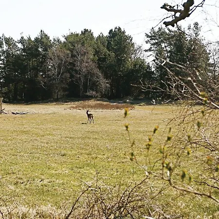 Three-bedroom Holiday In Aakirkeby * Vester Somarken